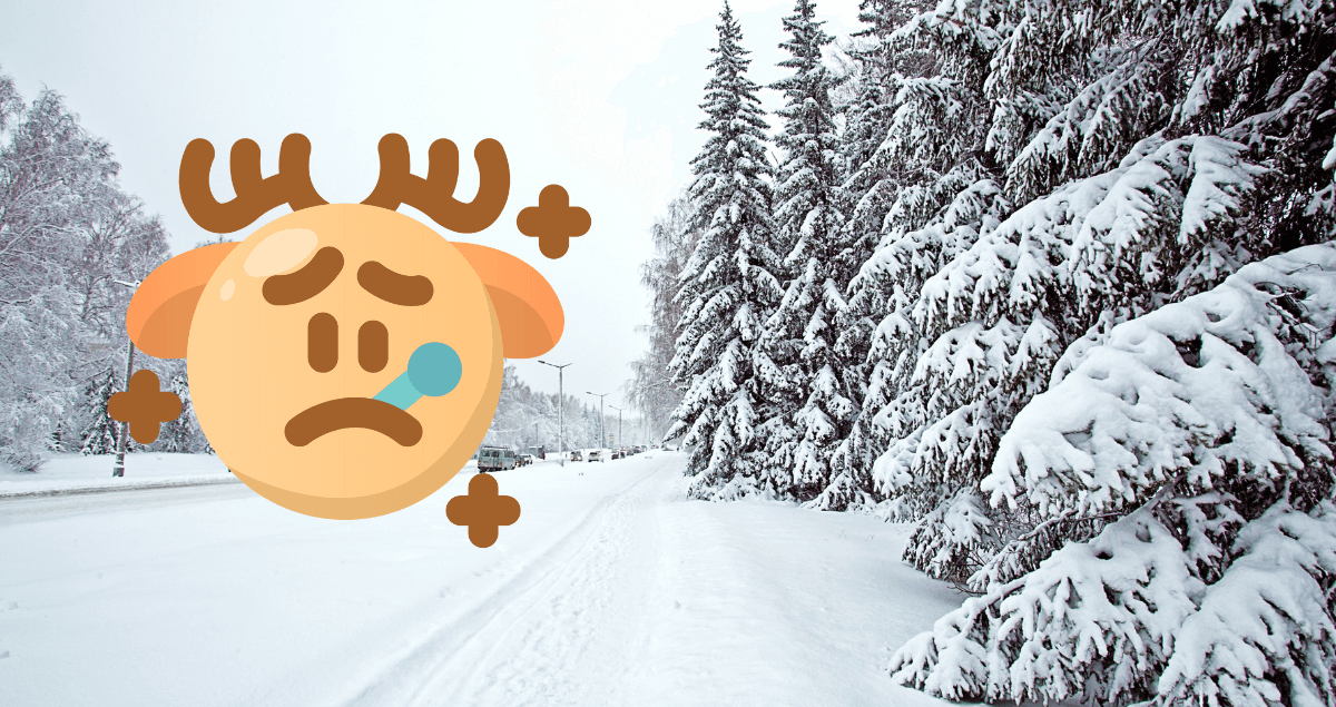 Silne mrozy w Polsce